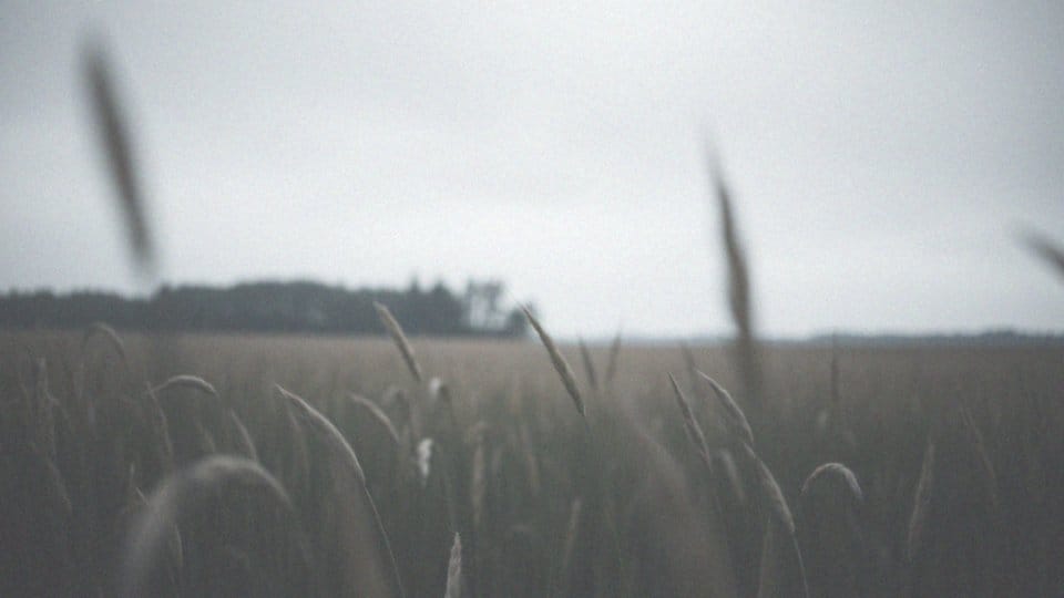 Jak wygląda atak epilepsji? Objawy i pomoc w nagłych przypadkach