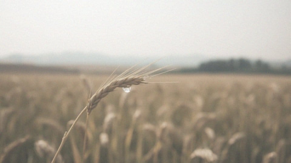 Nadmierne pocenie się przy małym wysiłku – przyczyny i jak sobie z tym radzić